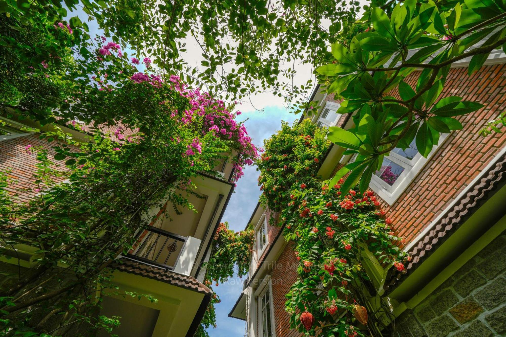 Blooms Boutique Village Хойан Экстерьер фото